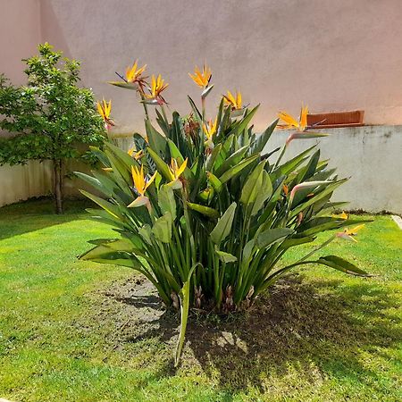 A Casa da Avó Ana Villa Arneiro das Milharicas Kültér fotó
