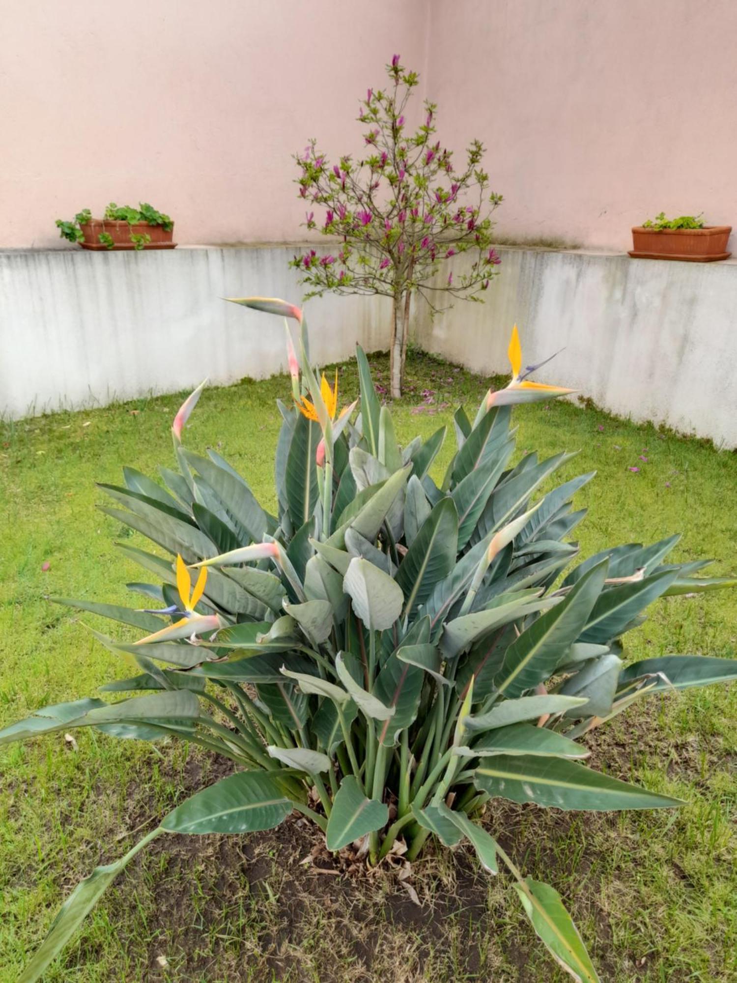 A Casa da Avó Ana Villa Arneiro das Milharicas Kültér fotó
